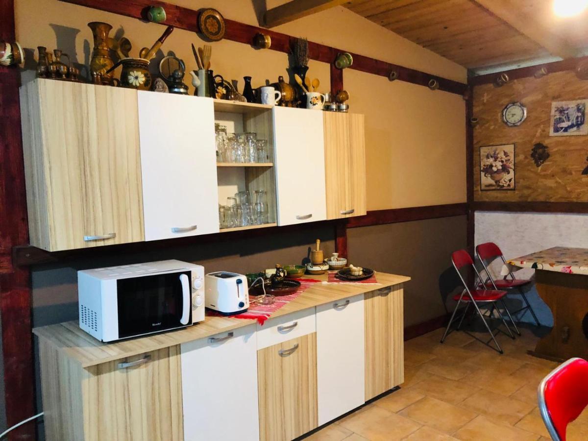 科斯蒂内什蒂 Casa Andrei酒店 外观 照片