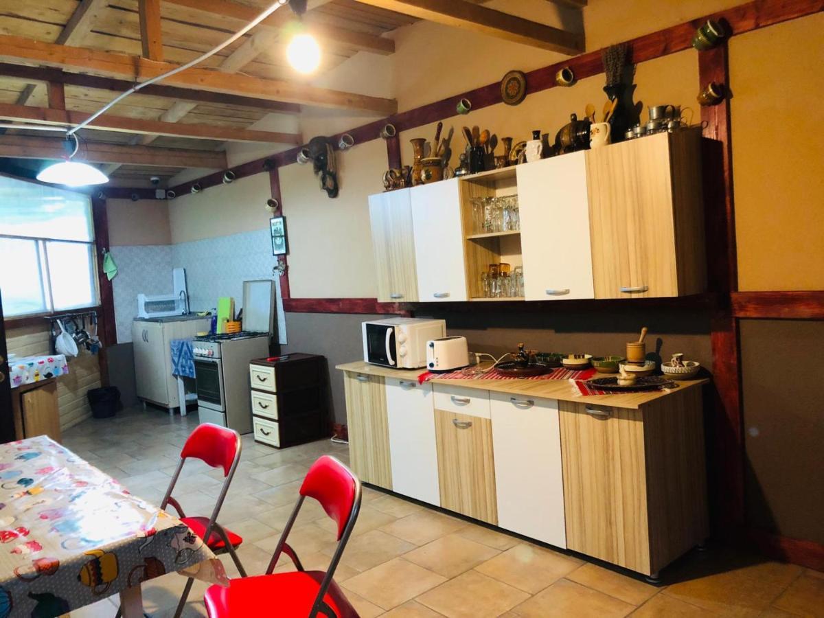 科斯蒂内什蒂 Casa Andrei酒店 外观 照片